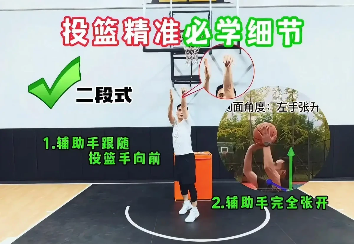 哪里能找到分卫的技术分析视频_1